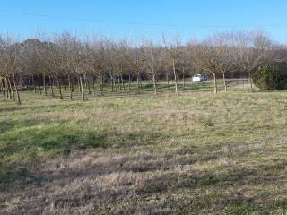 Terreno agricolo in vendita a sinalunga località giogliaie