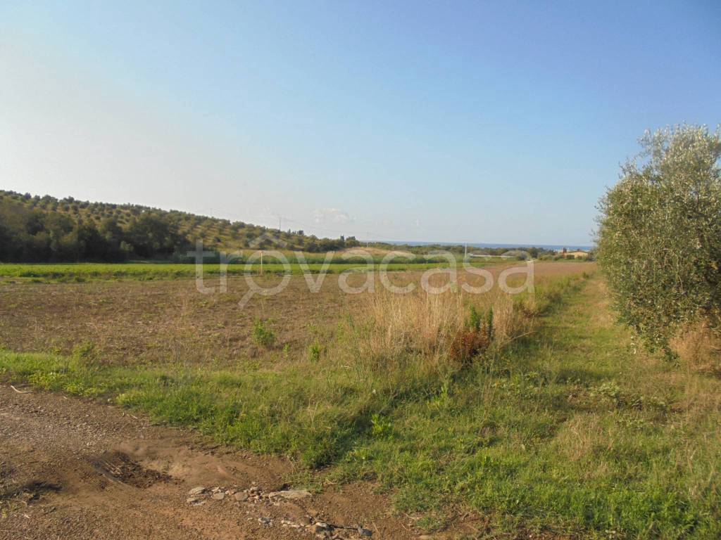 immagine annuncio 1 di 7