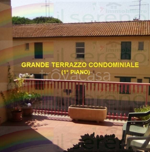 immagine annuncio 7 di 15