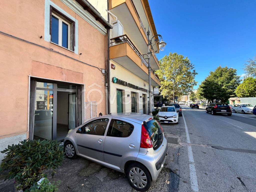 immagine annuncio 12 di 14