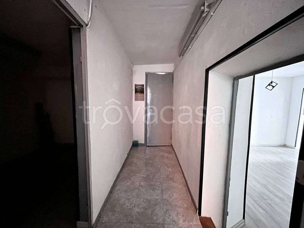 immagine annuncio 8 di 14