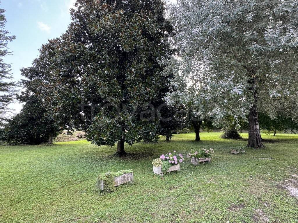 immagine annuncio 13 di 14
