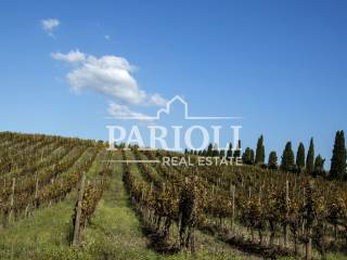 Azienda agricola in vendita a lanuvio via colle crocette