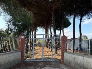 Terreno agricolo in vendita a livorno via dell’uliveta , 23