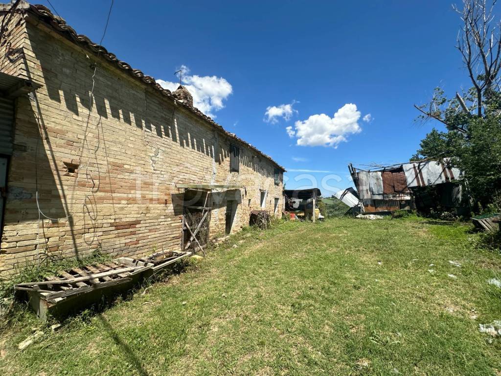 immagine annuncio 2 di 13