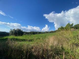 Terreno agricolo in vendita a piombino località casone alla sughera