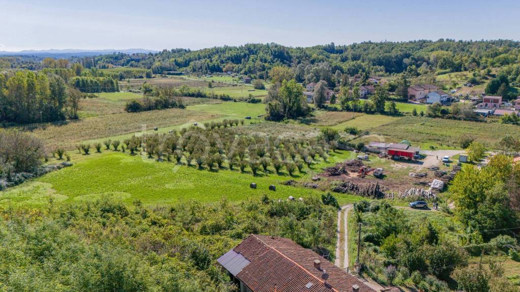 immagine annuncio 8 di 12