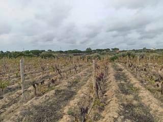 Terreno agricolo in vendita a sorso località tres mpontes