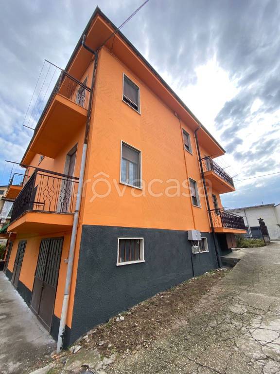 immagine annuncio 2 di 12