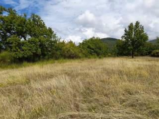 Terreno agricolo in vendita a cittaducale via case sparse