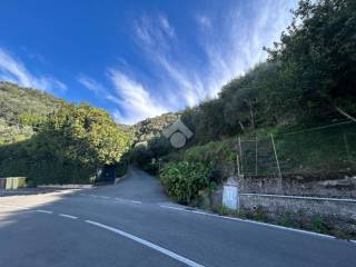 Terreno agricolo in vendita a lavagna via lavagna