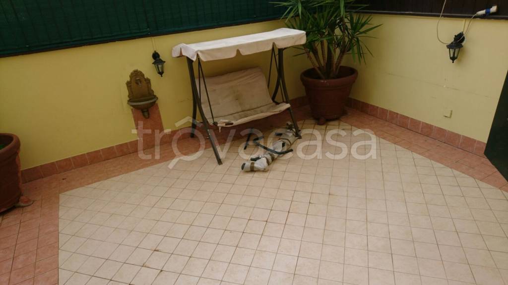 immagine annuncio 3 di 6