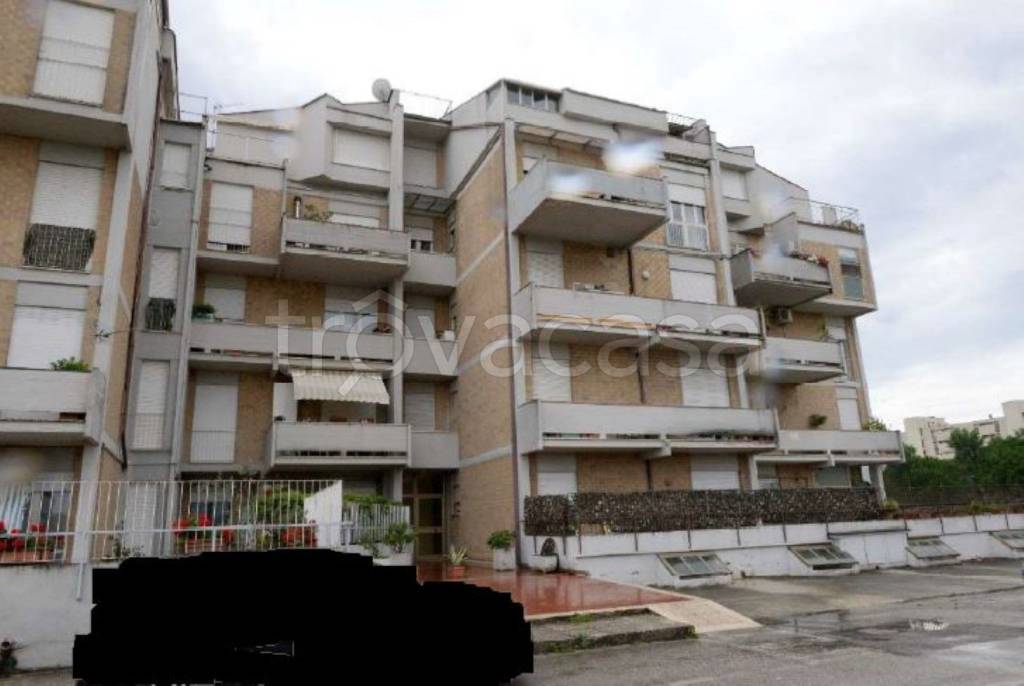 immagine annuncio 1 di 14