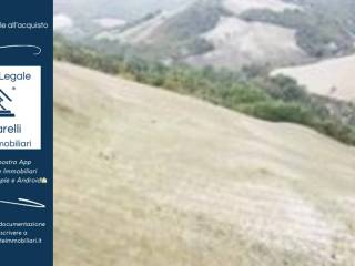 Terreno agricolo in vendita a urbino via san lorenzo in cerquetobono