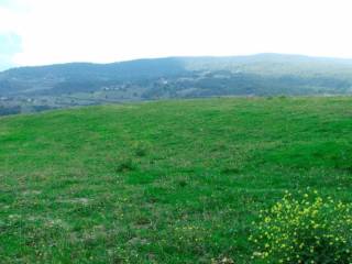 Terreno agricolo in vendita a corleto perticara via emigrati di perticara