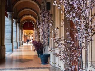 Negozio in affitto a bologna via luigi carlo farini