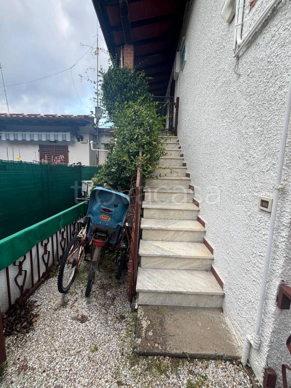 immagine annuncio 12 di 14