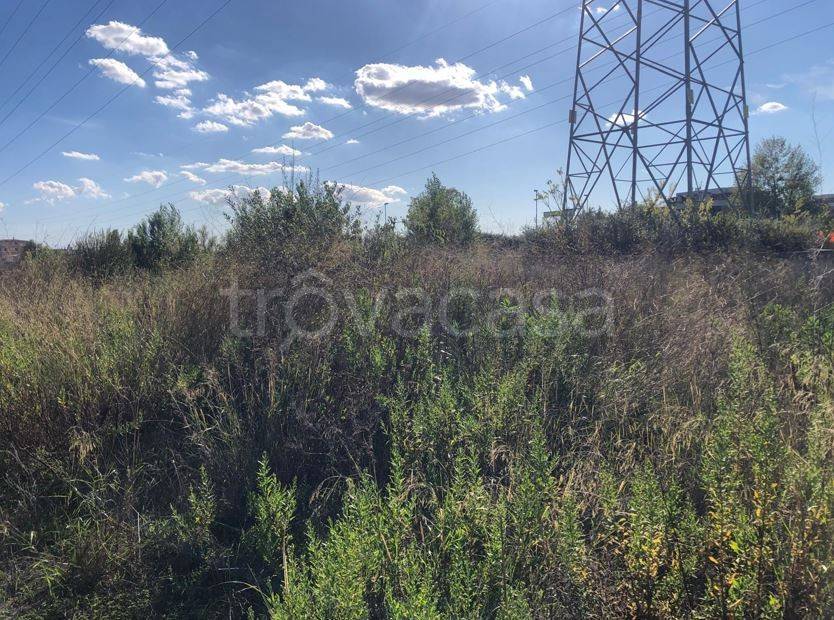 immagine annuncio 2 di 7