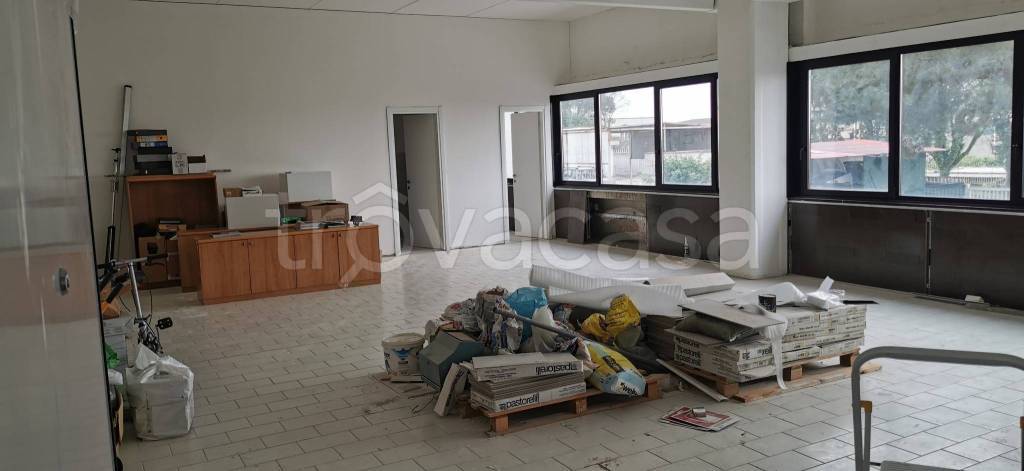 immagine annuncio 2 di 4