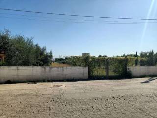 Terreno agricolo in vendita a bisceglie via carrara san francesco