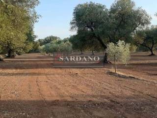 Terreno residenziale in vendita a carovigno via santissimo crocifisso