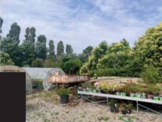 Terreno agricolo in vendita a casale sul sile via schiavonia casale