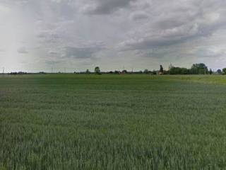 Terreno agricolo in vendita a sala bolognese 