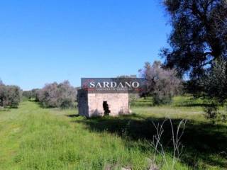 Terreno residenziale in vendita a san vito dei normanni via francesco crispi