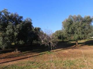 Terreno residenziale in vendita a carovigno 