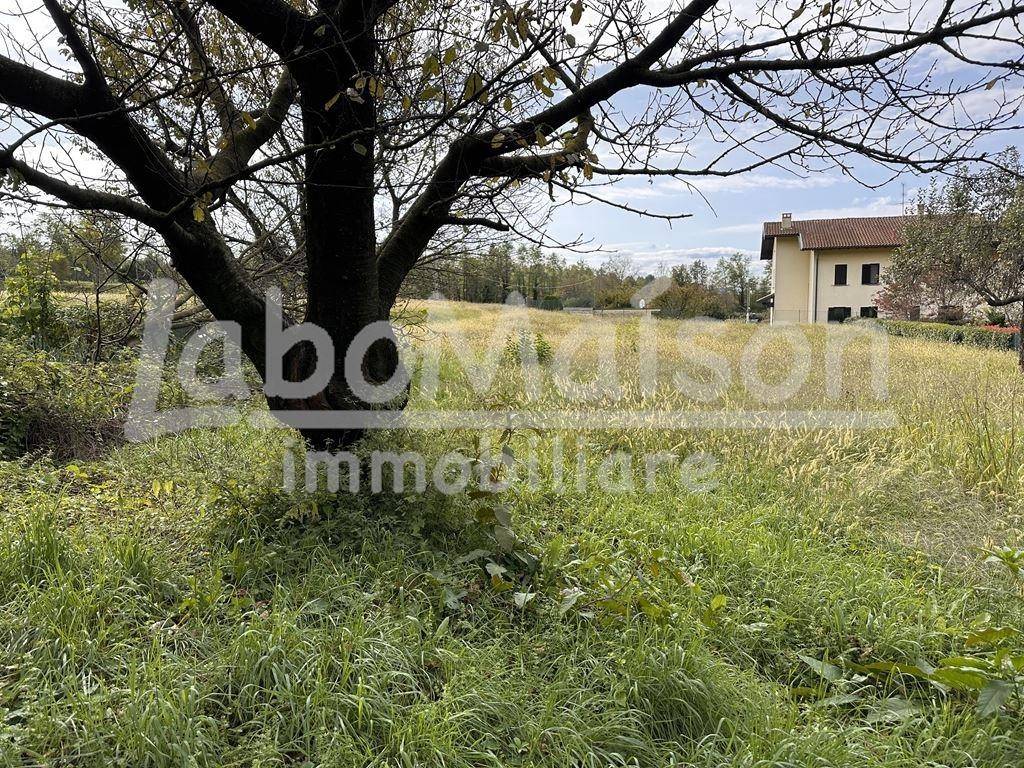 immagine annuncio 4 di 14