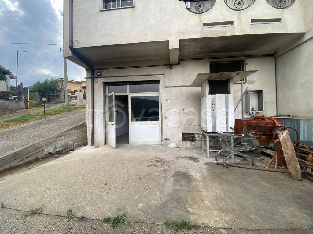immagine annuncio 3 di 7