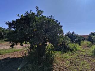 Terreno agricolo in vendita a ispica contrada petraro