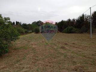 Terreno agricolo in vendita a caltagirone via euripide - c/da porto salvo, sn