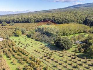 Terreno agricolo in vendita a vetralla strada campogiordano, snc