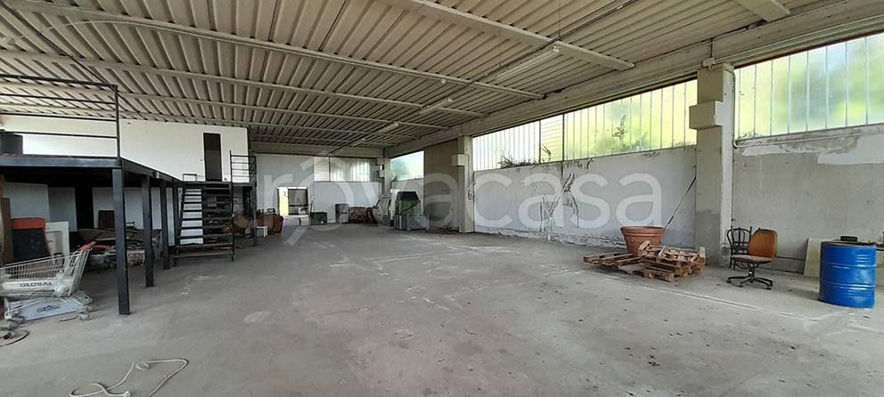 immagine annuncio 5 di 12