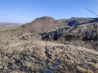 Terreno agricolo in vendita a guiglia via monzone