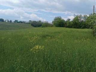 Terreno agricolo in vendita a castelvetro di modena via garibaldi