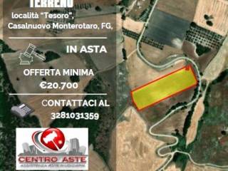 Terreno agricolo in vendita a casalnuovo monterotaro 71033 casalnuovo monterotaro fg, italia