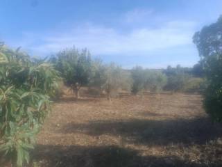 Terreno residenziale in vendita a trapani strada scularici