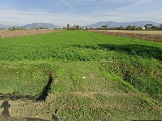 Terreno agricolo in vendita a campi bisenzio via carraia