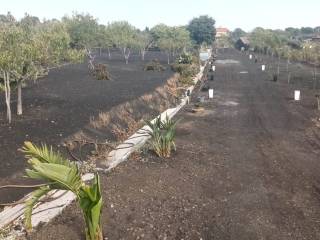 Terreno agricolo in vendita a nicolosi 