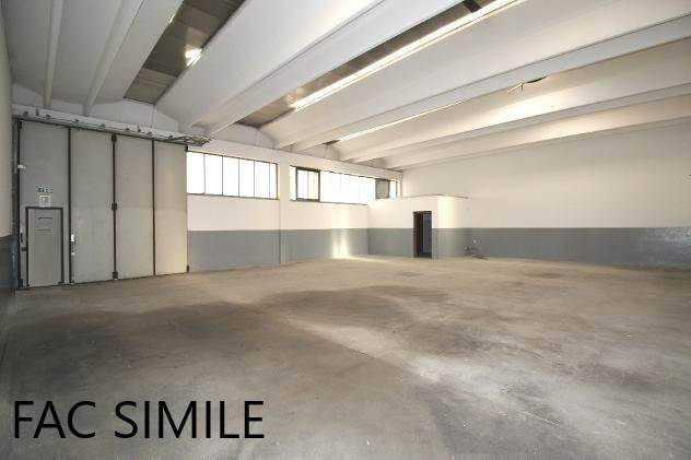 immagine annuncio 10 di 12