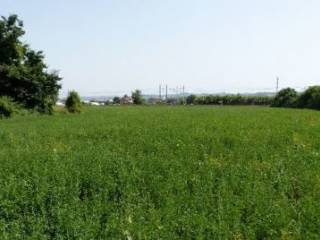 Terreno agricolo in vendita a gambettola via montanari