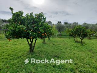 Terreno agricolo in vendita a crotone strada statale 107 silana crotonese