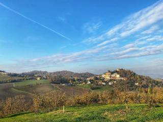 Terreno agricolo in vendita a casale monferrato regione mandoletta s.n.c.