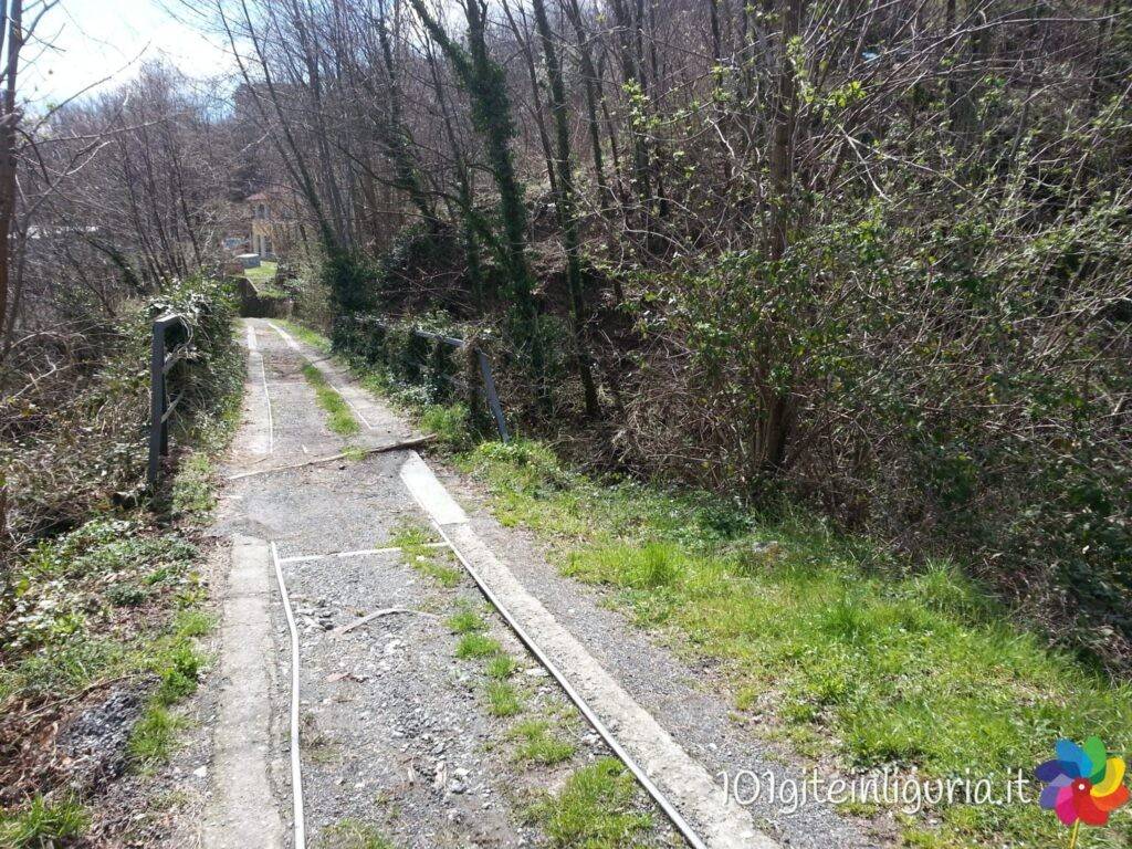 immagine annuncio 6 di 8