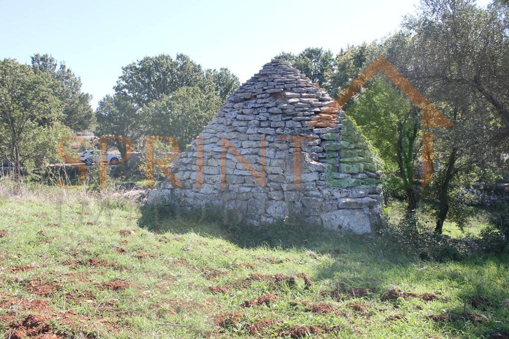 immagine annuncio 3 di 12