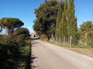 Terreno agricolo in vendita a vetralla via località mazzocchio alto