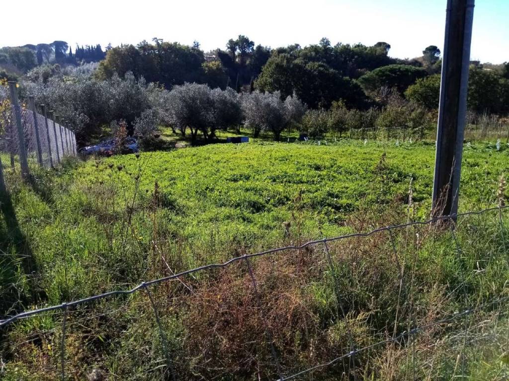 immagine annuncio 2 di 8