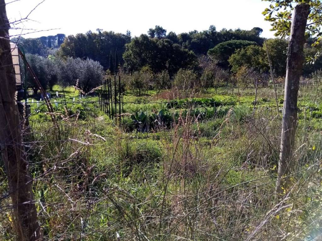 immagine annuncio 5 di 8